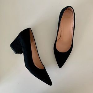 JCREW Laney suede pumps